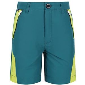 Regatta Unisex Sorcer Mountshtii Pants, Pacific Green/Bright Kiwi, 3 Jaren