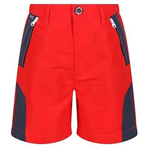 Regatta Unisex Sorcer Mountshtii Pants, Fiery Red/India Grey, 3 Jaren