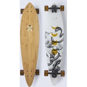 Arbor Bamboo Fish Pintail 37 longboard