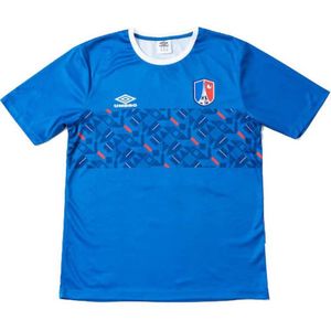 Umbro France Chest Panel World Cup 2022 T-shirt Met Korte Mouwen Blauw Man