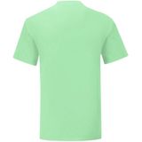 Fruit Of The Vrouwen / Dames Iconische T-Shirt (Muntgroen)