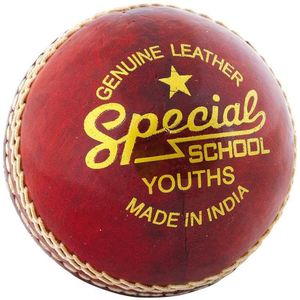Readers Kinder/Kids Speciale School Leren Cricket Bal  (Rood)