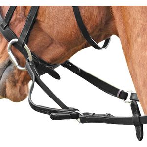 Shires Flexibele leren teugels voor paarden (Pony) (Zwart)