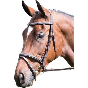 Avignon Gevoerd leren paardenhoofdstel (Kleines Pony) (Havana)