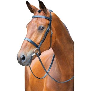 Salisbury Berrington Lederen Paardenhoofdstel (Full) (Zwart)