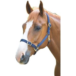 Shires Verstelbaar halster voor paarden (Full) (Marine)