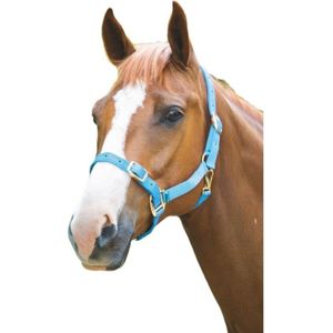 Shires Verstelbaar halster voor paarden (Full) (Babyblauw)