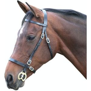 Blenheim Lederen gladde paardenhoofdstel (Pony) (Zwart)