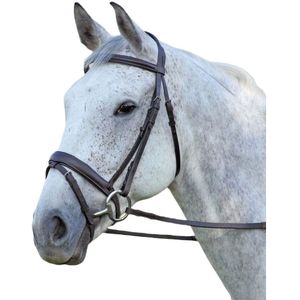 Aviemore Comfort Fit Lederen Paardenhoofdstel (Pony) (Havana)