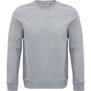 SOLS Unisex Volwassen Comet Biologisch Sweatshirt (Grijze Mergel)