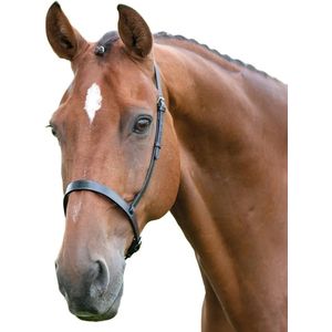 Blenheim Lederen Kaptoom Neusriem voor Paarden (Pony) (Zwart)