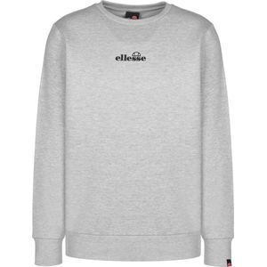 Ellesse Kiamto Sweater Heren - Maat S