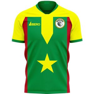 Senegal 2022-2023 Home Concept Football Kit (Libero) - Adult Long Sleeve