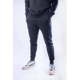 Lyle & Scott - Tonal Eagle - Joggingbroek - Grijs - Skinny Fit