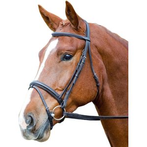 Aviemore Comfort Fit Lederen Paardenhoofdstel (Pony) (Zwart)