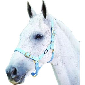 Roma Verstelbaar halster voor paarden (Warmblut) (Lichtblauw)