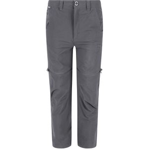 Regatta - Highton Stretch Afritsbare Wandelbroek - Grijs - 94% Polyamide