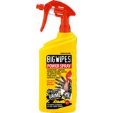 Power Spray' kraftvolles, schnell wirkendes Mehrzweck-Reinigungsspray (1l)