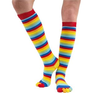 TOETOE - Everyday Knee-High - Regenboog - Teensokken