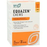 Equazen Eye q chews omega 3- & 6-vetzuren (180ca)