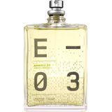 Escentric Molecules Unisex Parfum Eau de Toilette Spray 100 ml
