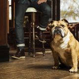 Bulldog - Original Gezichtsscrub - 125 ml - Alo Vera - Camelina Olie - Groene Thee