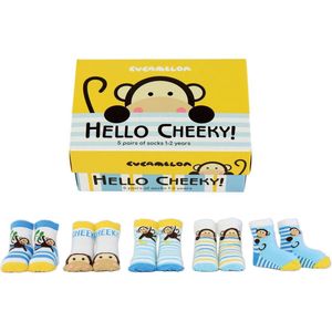 Peuter Sokken in cadeau doos - Aapje Monkey - Geschenkdoos 1e verjaardag met 5 paar sokjes - Maat 12-24 maanden
