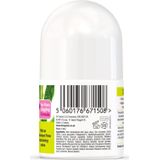 Dr. Organic Tea Tree Deodorant 50 ml