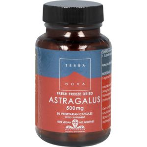 Terranova - Astragalus - Kruidenpreparaat - 500 mg - 50 Capsules