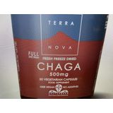 Terranova Chaga 500mg (100 capsules)