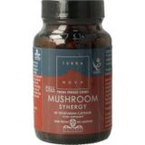 Terranova - Mushroom Synergy Complex - Voedingssupplement - Biologisch