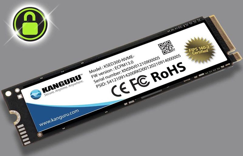 Kanguru - Defender SED300 - 1 TB - Zwart - M.2 NVMe - Zelfversleutelende SSD