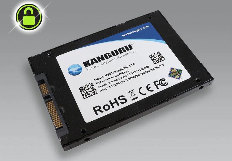 Kanguru - Defender SED300 - 1 TB - Zwart - Zelfversleutelende SSD