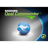 Kanguru - Defender SED30 - 2 TB - M.2 NVMe - Zelfversleutelende SSD - Zwart