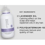 Pure Blonde Booster Shampoo - Violette Micropigmenten - Hydraterende Formule