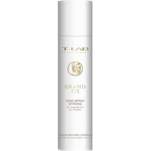 T-LAB Grand Fix Haarlak - Sterke Hold - Kleurloos - 300ml