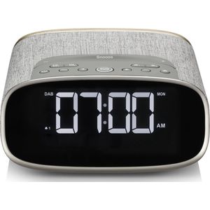 VQ - Lark - Draagbare Radio - Grijs - Analoog & Digitaal