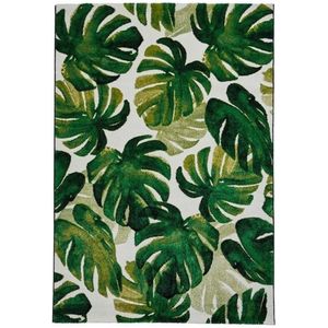 Think Rugs - Vloerkleed 'Havana 8595 Floral' - Groen/gebloemd - 160x220 cm