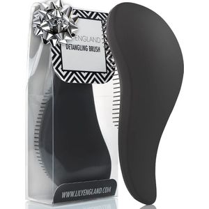 Haarborstel - Zilver - Kunststof - Ontklitter Voor Alle Haartypes