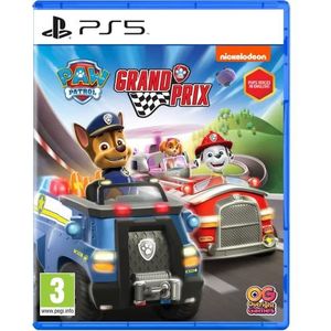 Paw Patrol, La Pat'patrouille : Grand Prix