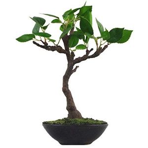 Leaf Kunstboom, Gemengde Materialen, Mini Bonsai, 25cm