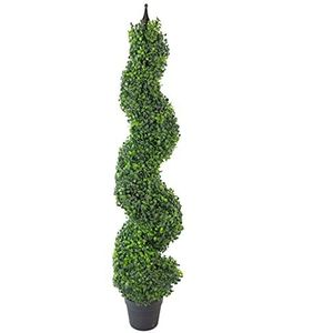 Leaf Design UK Buxus spiraal