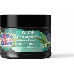 Aloe Ceramides Professional Mask Nourishing moisturizing mask for dry and dull hair