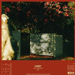 Casey CD - How To Disappear - standaard