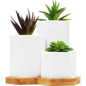 Belle Vous Wit Keramiek Vetplanten Planten Potten met Bamboe Tray (3Pak) – Klein, Medium en Groot cactus & Bloemen Planten Pot Set met Drainage Gaten – Voor Kantoor, Balie, Binnen Tafel & Buiten Tuin
