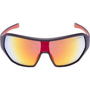 Formule 1 eyewear zonnebril - F1S1029