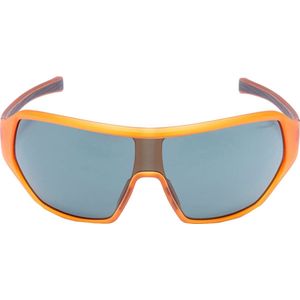 Formule 1 eyewear zonnebril - F1S1030