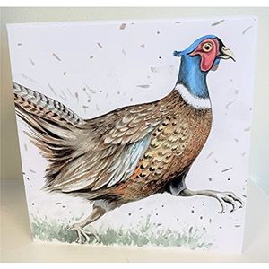 Maturi Blanco wenskaart met aquarel fasan-motief 441048 kleurrijk