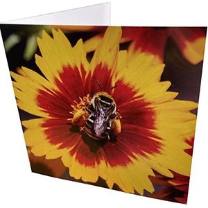 Maturi Blanco wenskaart met bijen en bloem