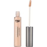 BPerfect Cosmetics - Chroma Conceal Liquid Concealer - N1